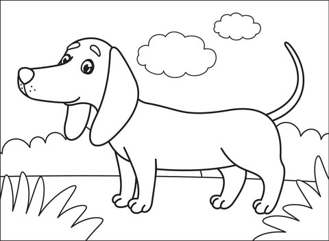 Dachshund Coloring Page