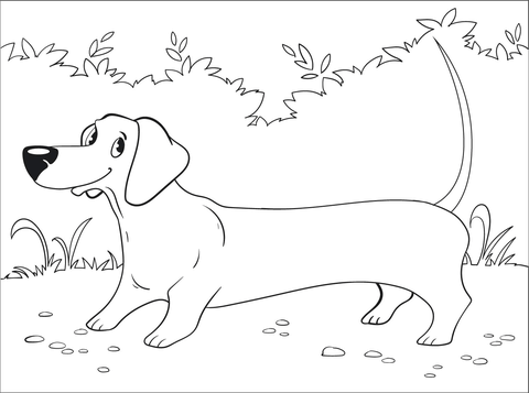 Dachshund Coloring Page