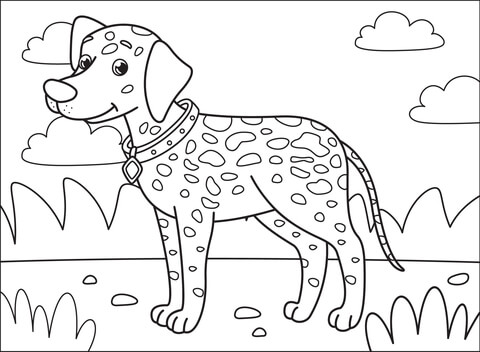 Dalmatian Coloring Page