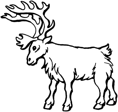 Deer Coloring Page