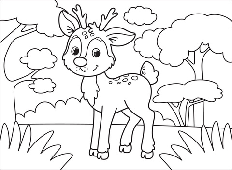 Deer Coloring Page