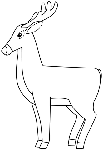 Deer Coloring Page