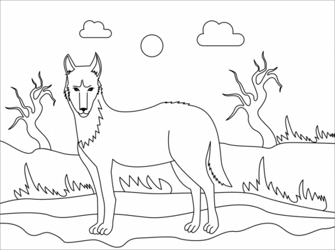 Dingo Coloring Page