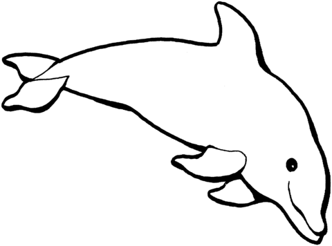 Dolphin Coloring Page