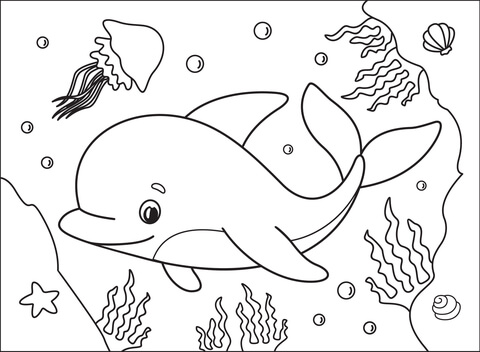 Dolphin Coloring Page