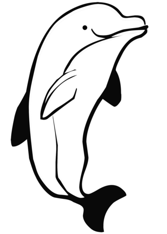 Dolphin Coloring Page