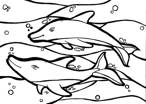 Dolphins Coloring Page