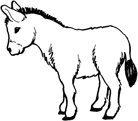 Donkey Coloring Page