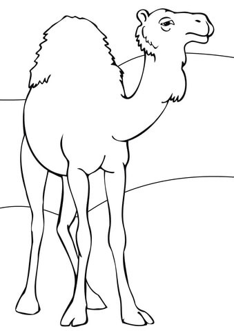 Dromedary Coloring Page