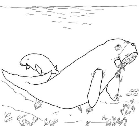 Dugong Coloring Page