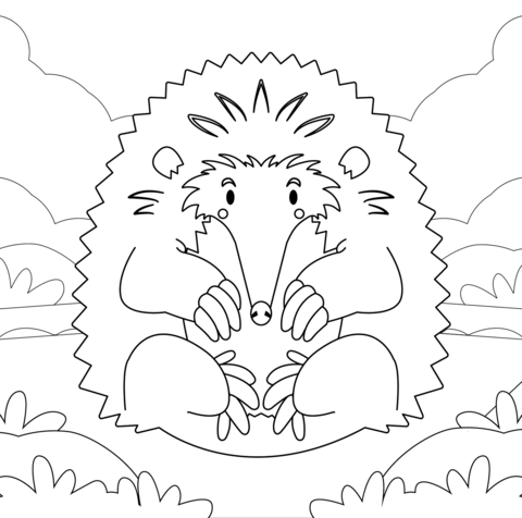 Echidna Coloring Page