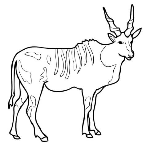 Eland Coloring Page