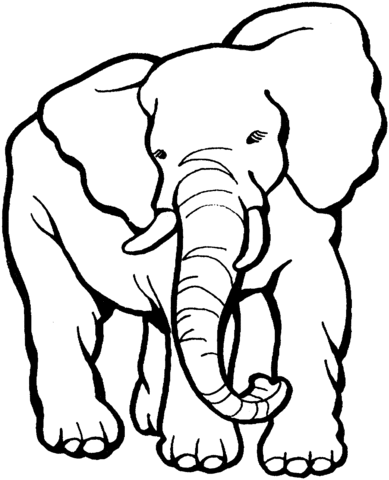 Elephant Coloring Page