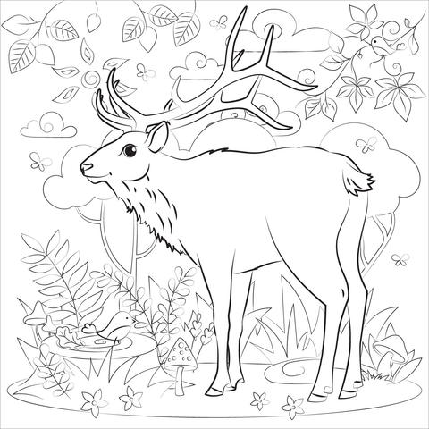 Elk Coloring Page