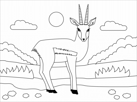 Gazelle Coloring Page