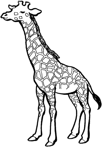 Giraffe Coloring Page