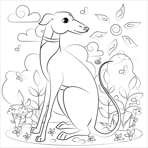 Greyhound Coloring Page