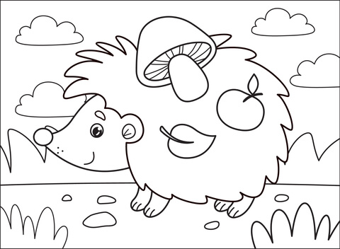 Hedgehog Coloring Page