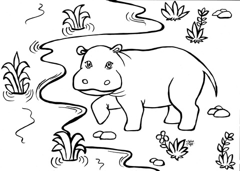 Hippo Coloring Page