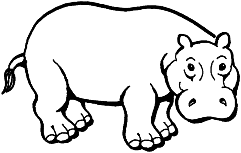 Hippopotamus Coloring Page