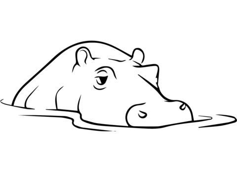 Hippopotamus Coloring Page