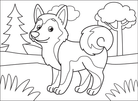 Husky Coloring Page