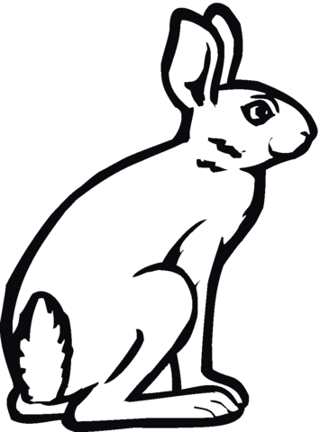 Jackrabbit Coloring Page