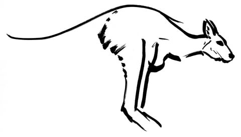 Kangaroo Coloring Page