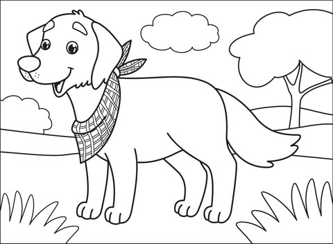 Labrador Coloring Page