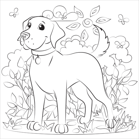 Labrador Coloring Page