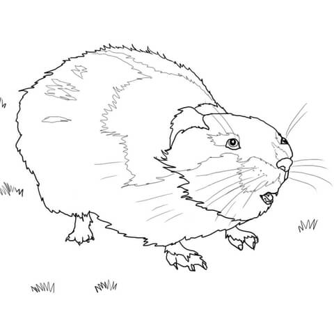 Lemming Coloring Page