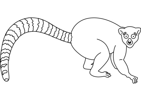 Lemur Coloring Page