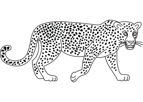 Leopard Coloring Page