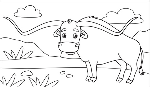 Longhorn Coloring Page