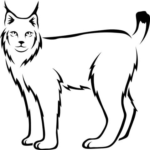 Lynx Coloring Page