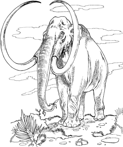 Mammoth Coloring Page