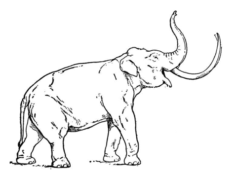 Mastodon Coloring Page