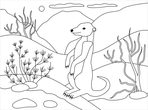 Meerkat Coloring Page