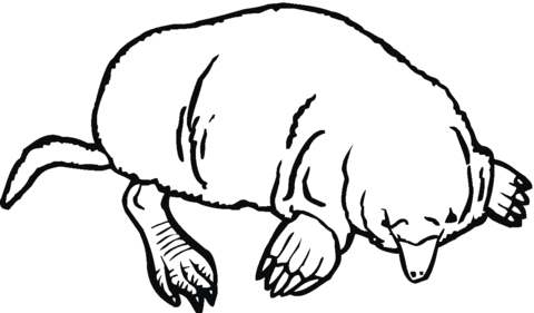 Mole Coloring Page