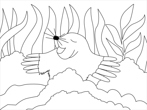 Mole Coloring Page