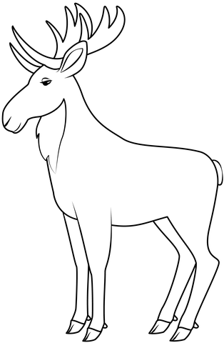 Moose Coloring Page