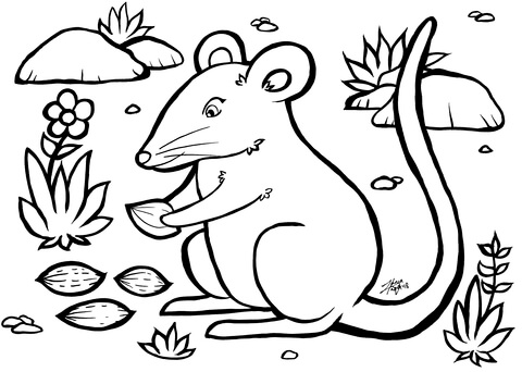 Mouse Coloring Page