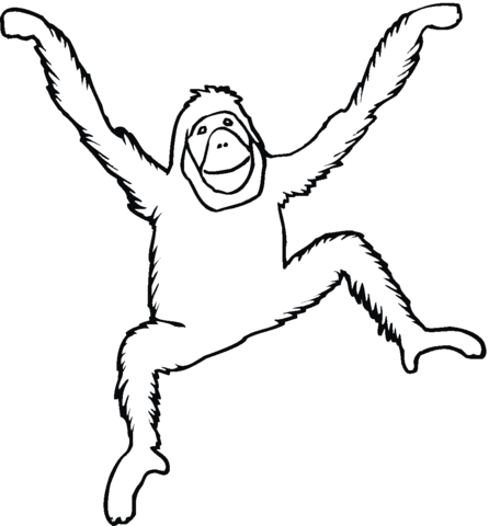 Orangutan Coloring Page