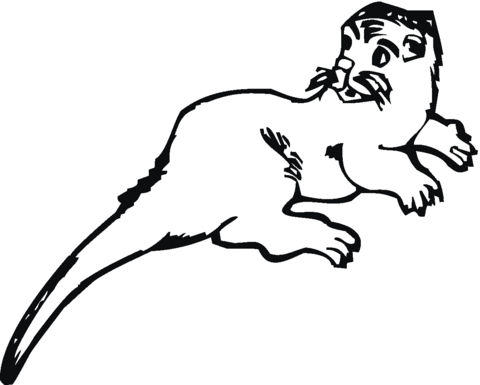 Otter Coloring Page