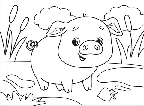 Pig Coloring Page