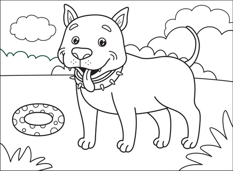 Pitbull Coloring Page