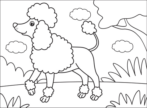 Poodle Coloring Page