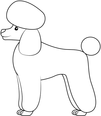 Poodle Coloring Page