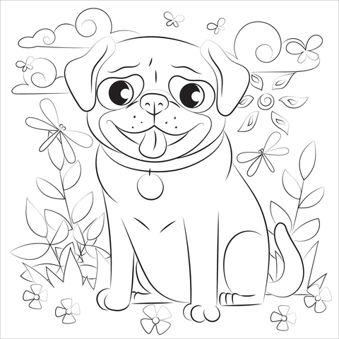 Pug Coloring Page