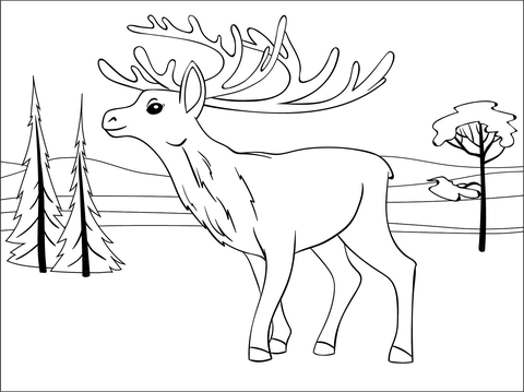 Reindeer Coloring Page